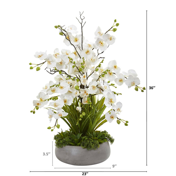 3’ Phalaenopsis Orchid and Agave Artificial Arrangement in Gray Vase ...