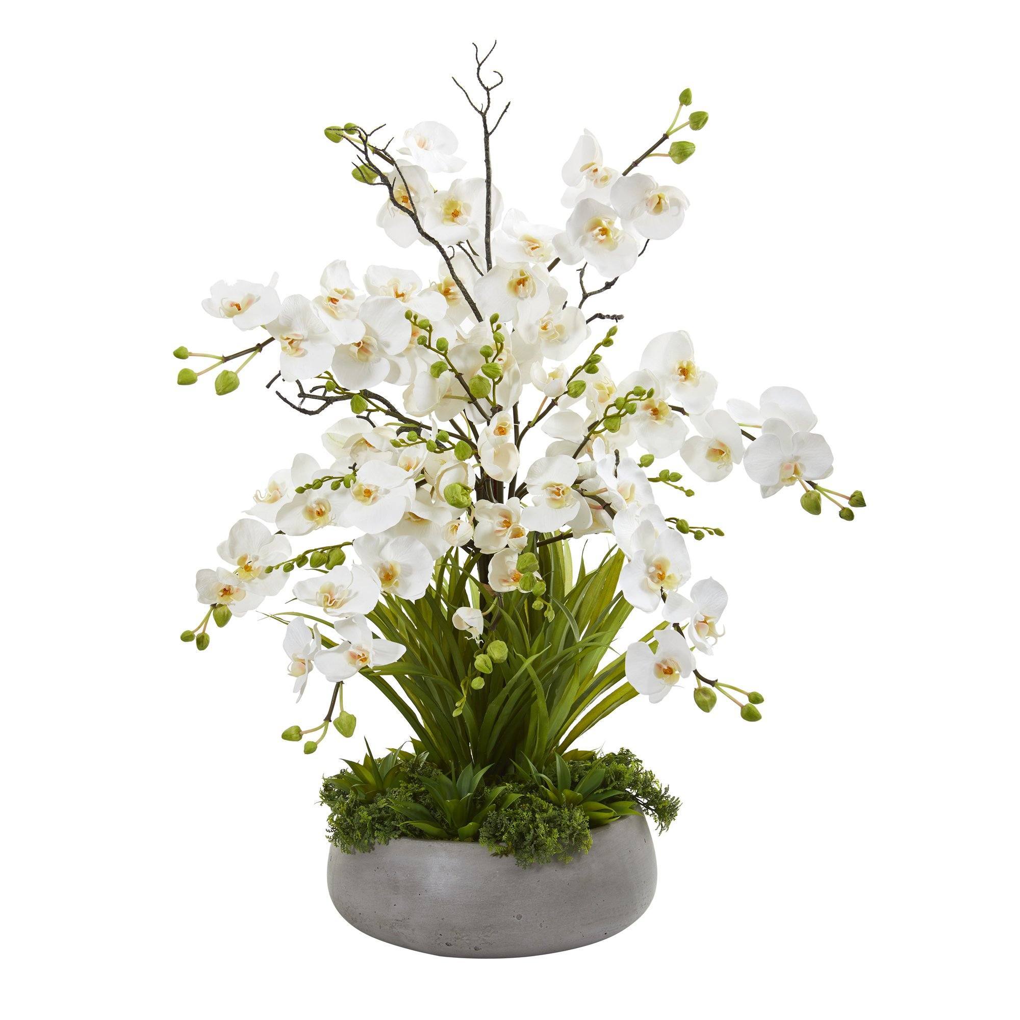 3’ Phalaenopsis Orchid and Agave Artificial Arrangement in Gray Vase ...