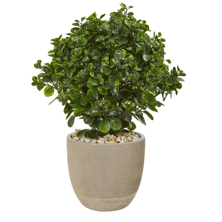 30” Peperomia Artificial Plant in Sand Stone Planter UV Resistant ...