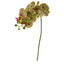 30” Phalaenopsis Orchid Artificial Flower (Set of 6)