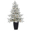 3.5’ Flocked Manchester Spruce Artificial Christmas Tree with 50 Lights and 133 Bendable Branches in Metal Planter