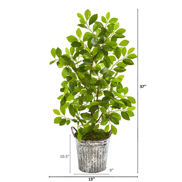 37” Mini Ficus Artificial Tree in White Washed Vintage Metal Pail