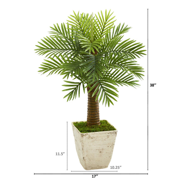 38” Robellini Palm Artificial Tree in Country White Planter