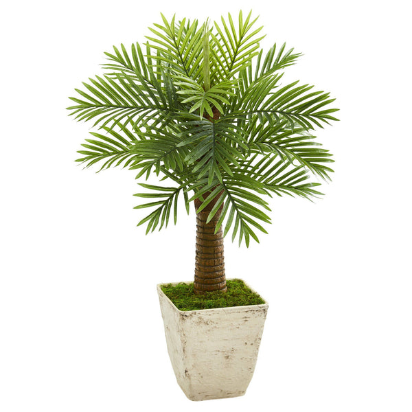 38” Robellini Palm Artificial Tree in Country White Planter