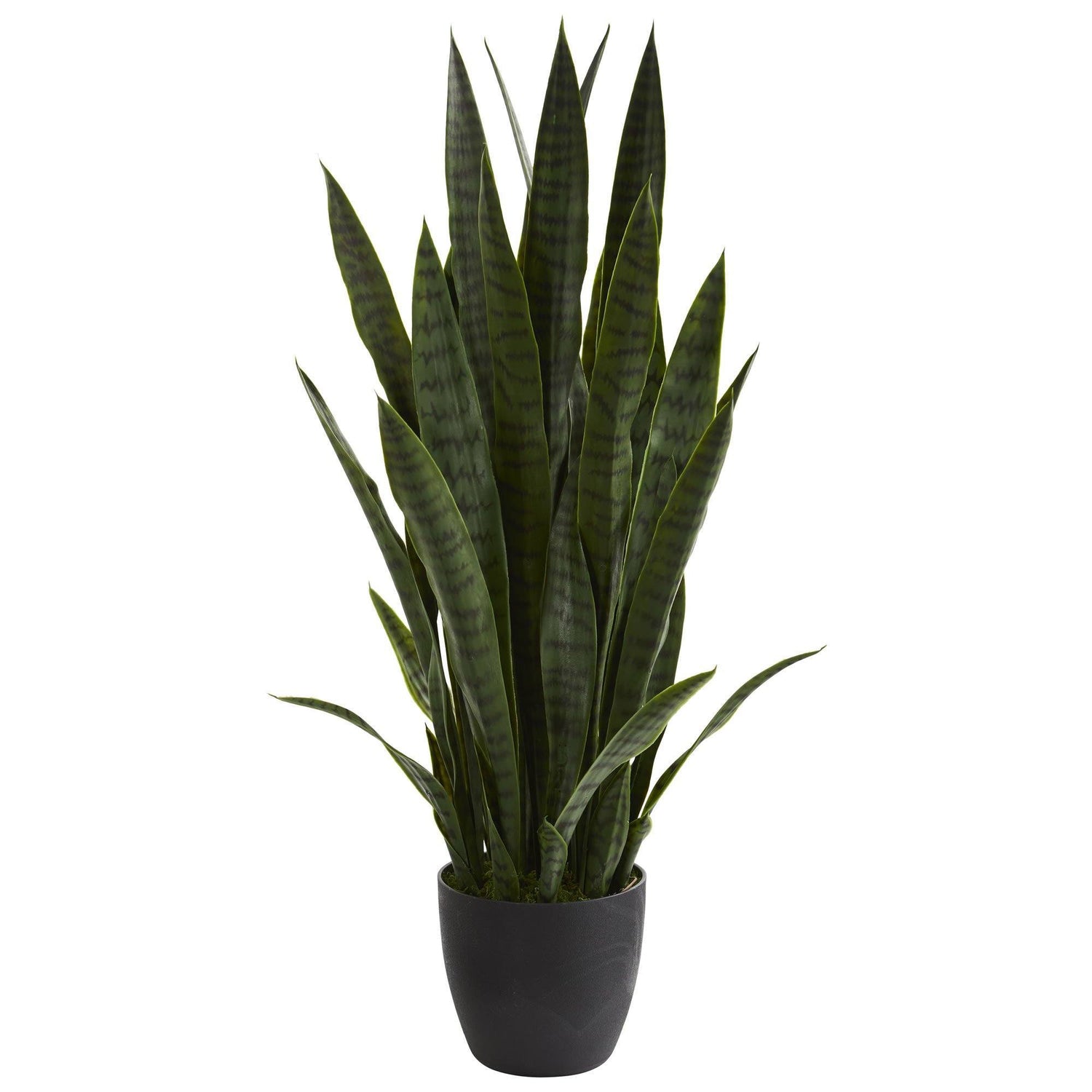  DUZYXI Artificial Snake Plants 16 with White Ceramic Pot  Sansevieria Plant Fake Snake Plant Greenery Faux Plant in Pot for Home  Office Living Room Housewarming Gifts Indoor Outdoor Decor-Green : Home