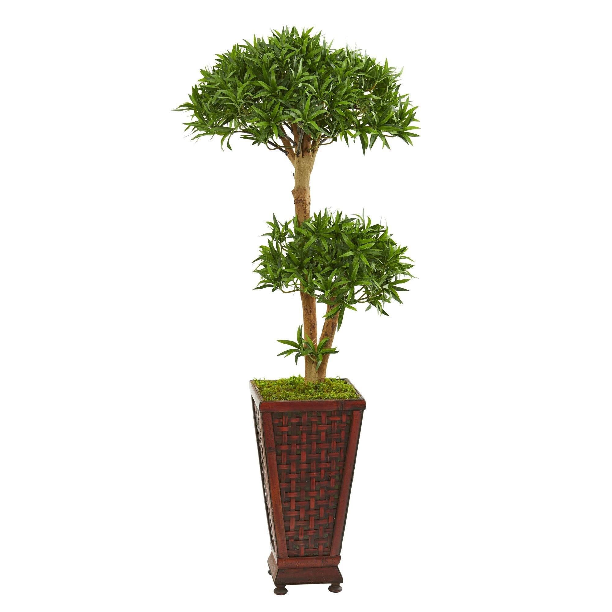 4’ Bonsai Styled Podocarpus Artificial Tree In Decorative Planter 