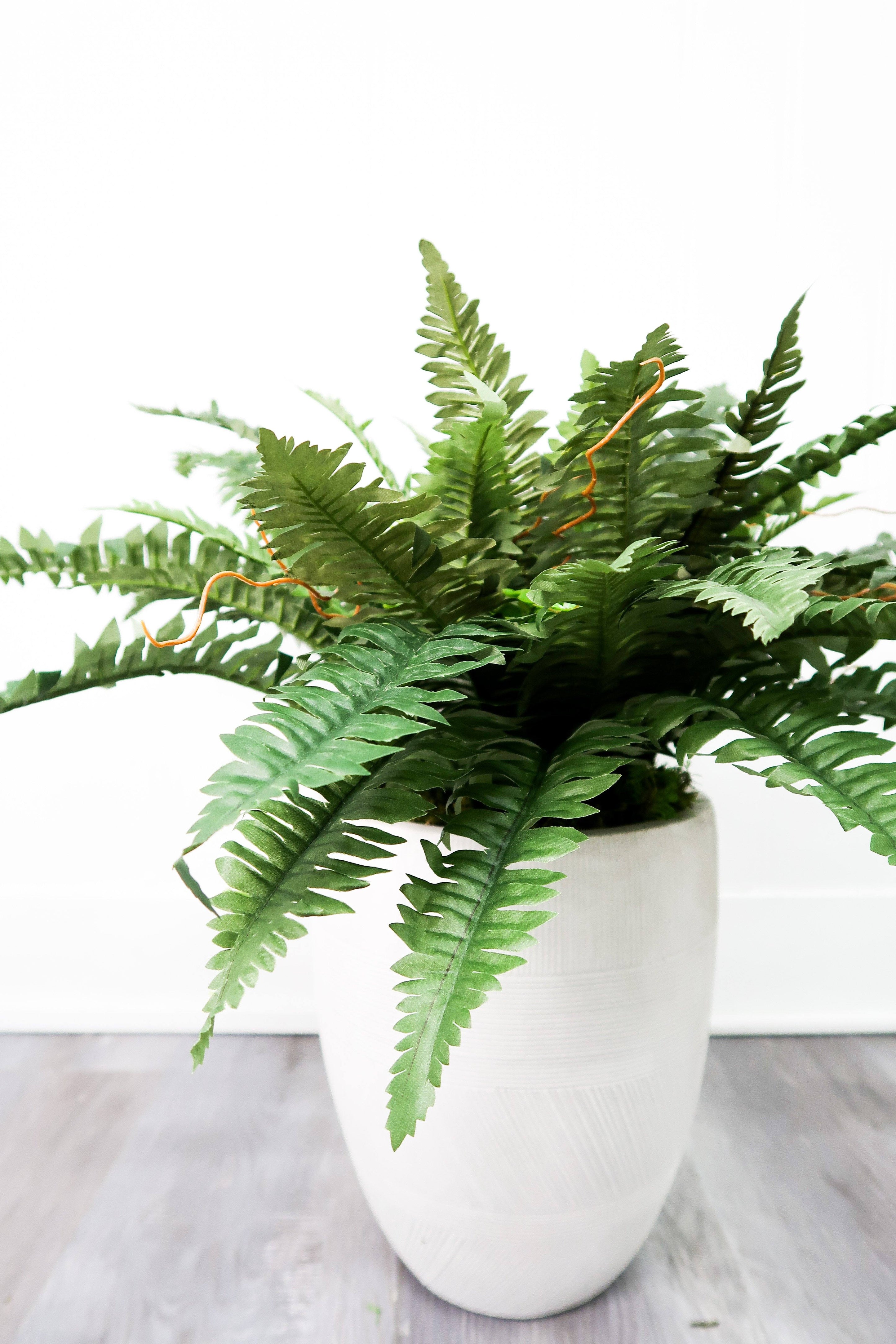 40” Artificial Boston Fern (Set of 2) | Nearly Natural