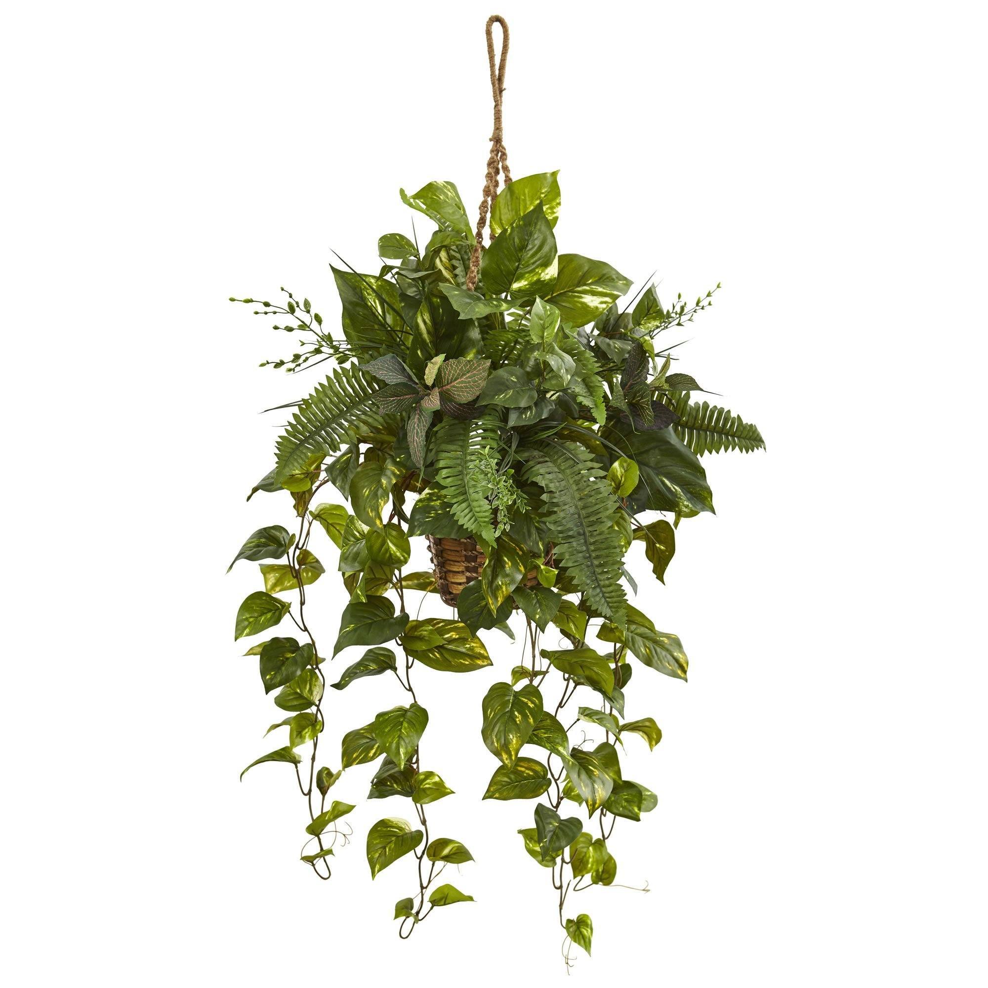 Mixed Pothos and Boston Fern in Hanging Basket | Nearly Natural