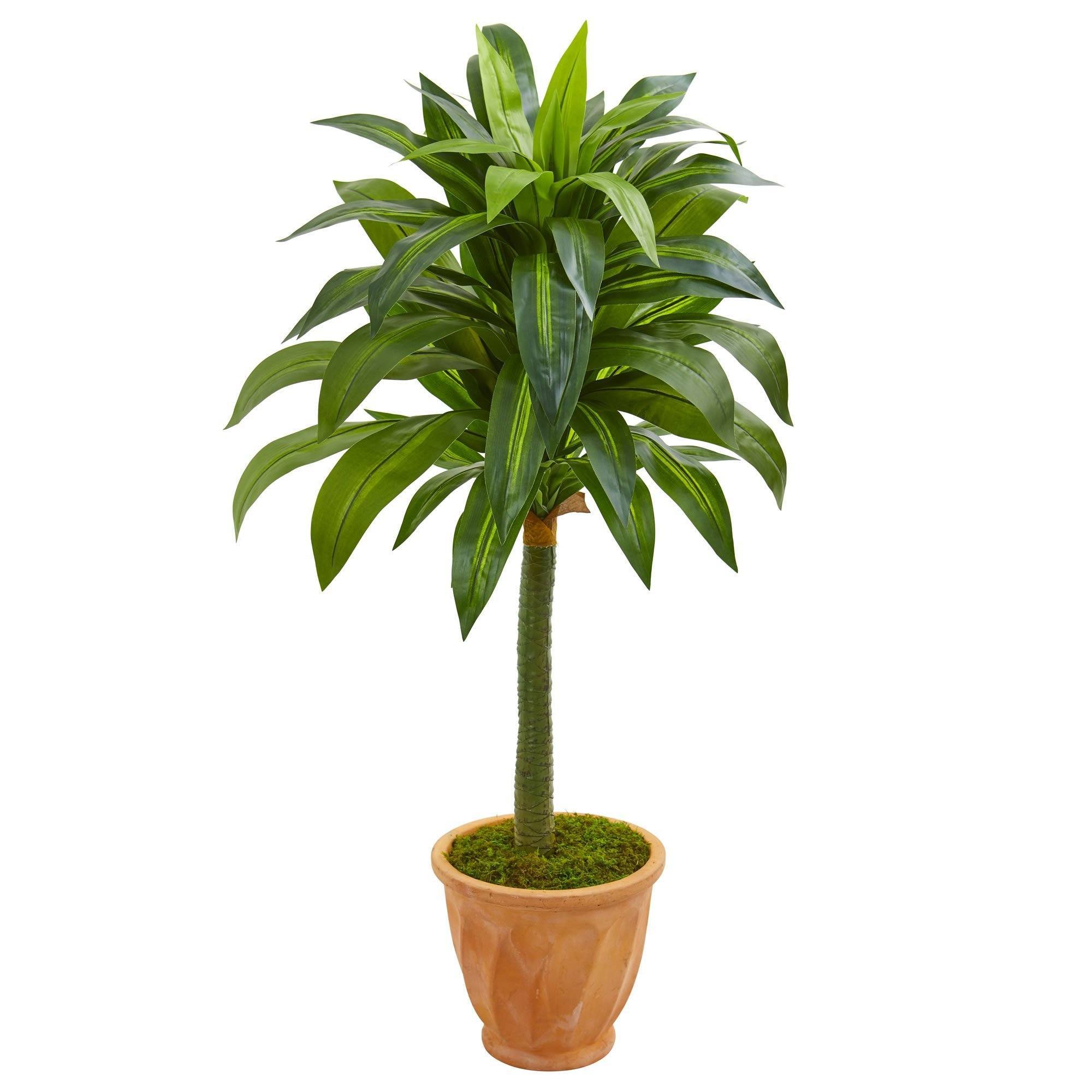 49” Dracaena Artificial Plant in Terra Cotta Planter | Nearly Natural