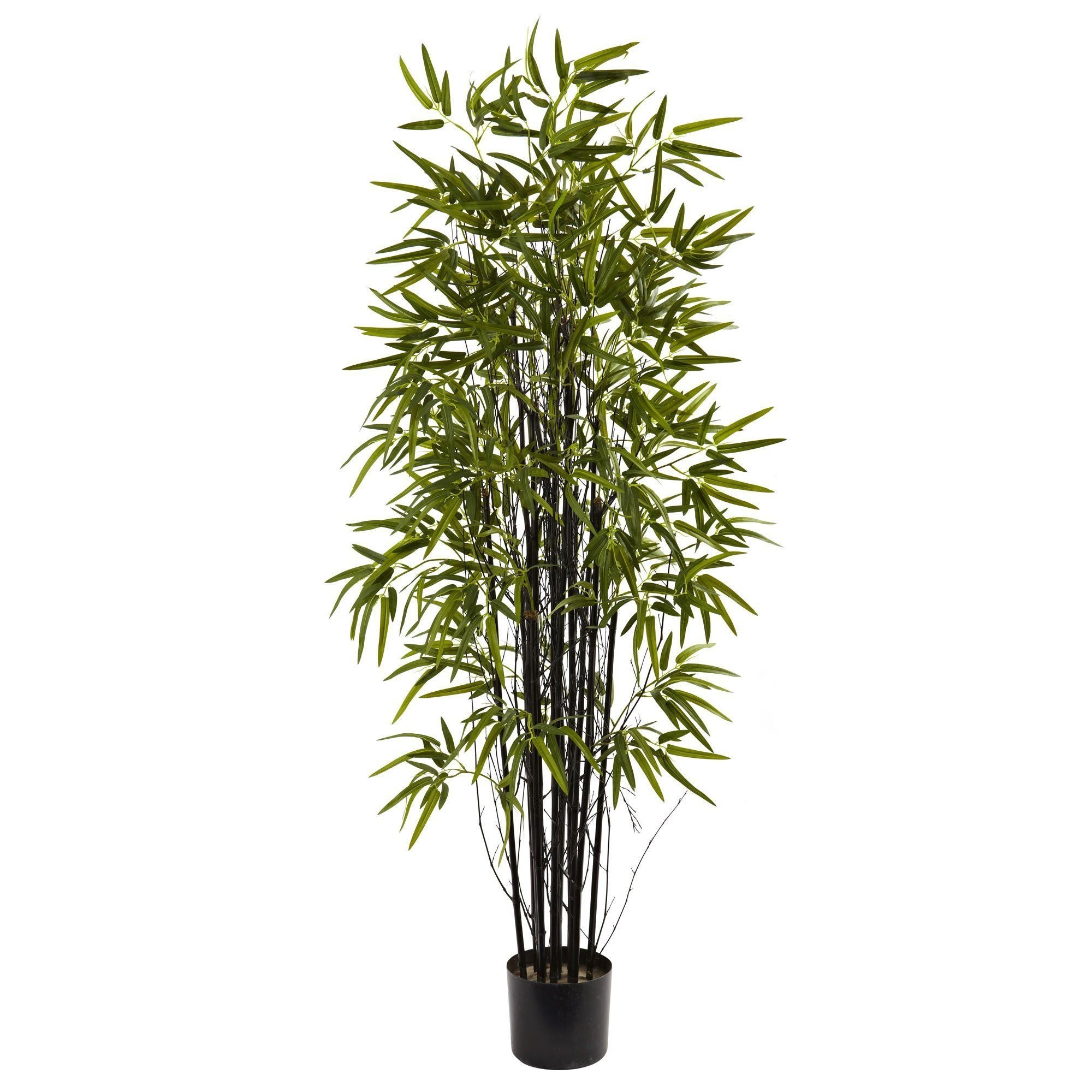 5’ Black Bamboo Tree | Nearly Natural