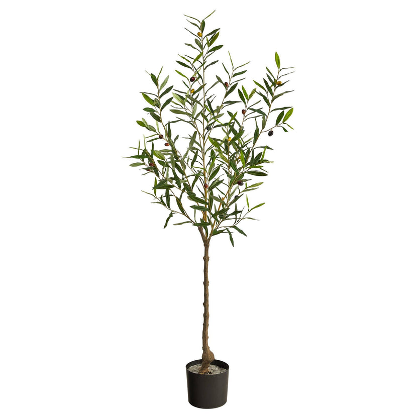 Faux Olive Tree Family | Fake Olive Tree Collection | Nearly Natural