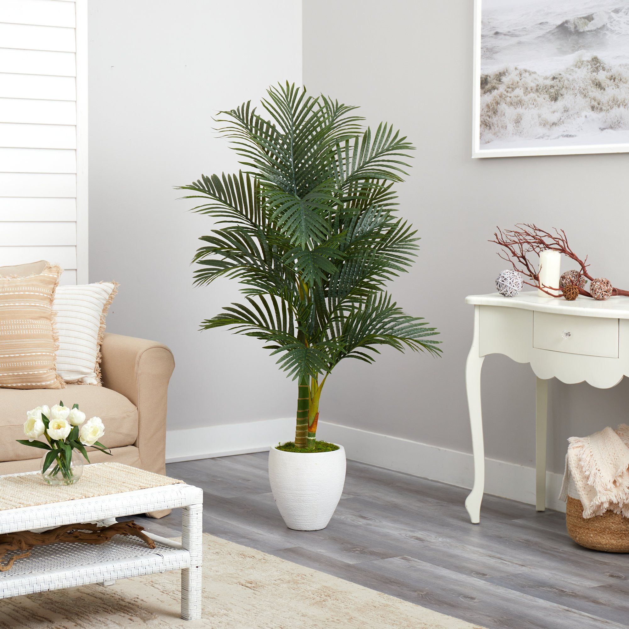 Paradise Floor Palm discount Tree in Planter