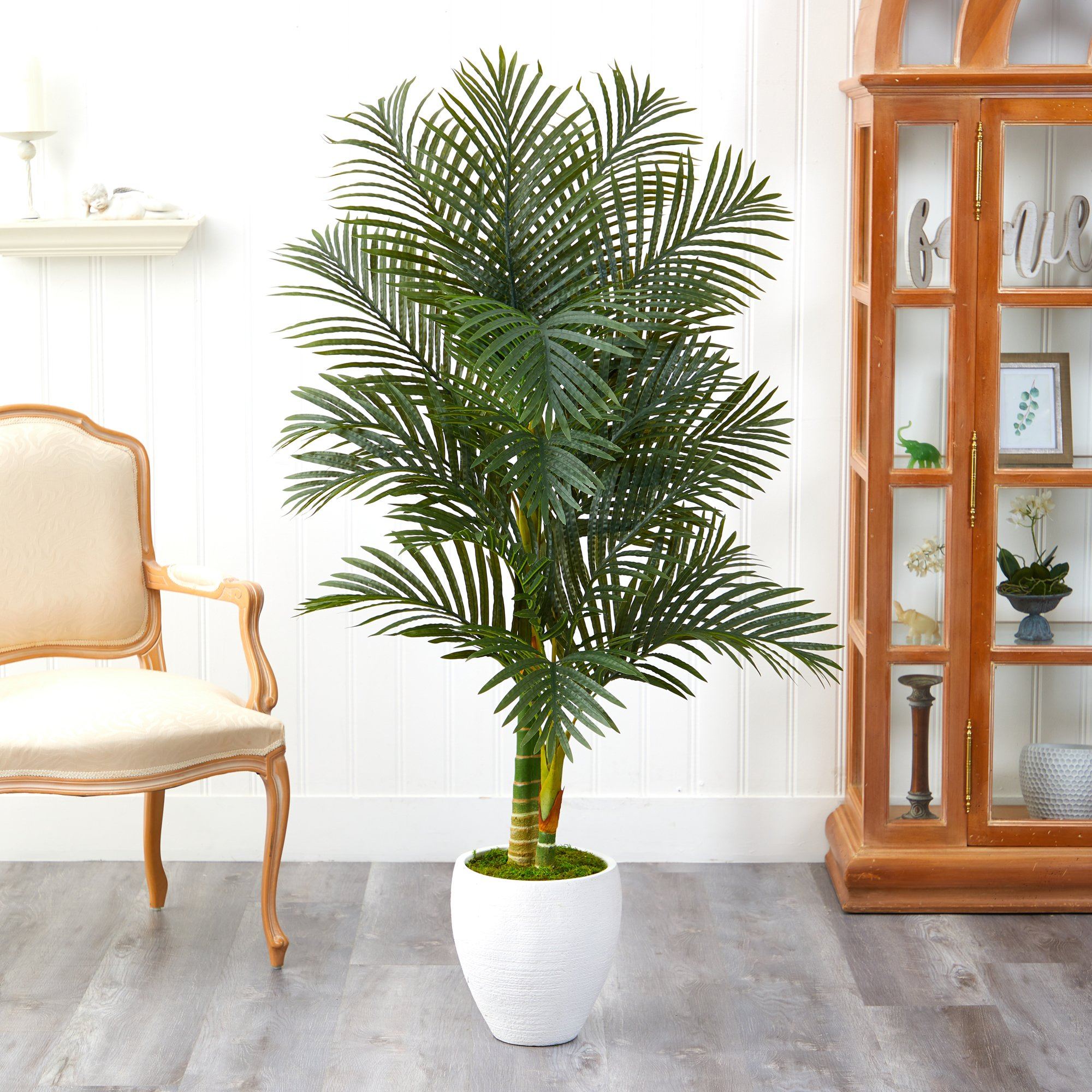 Paradise Floor Palm Tree in hotsell Planter