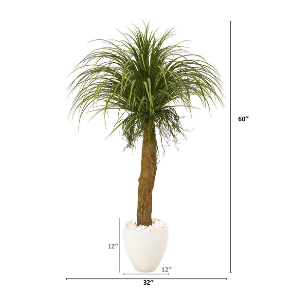 5’ Pony Tail Palm Artificial Plant in White Planter