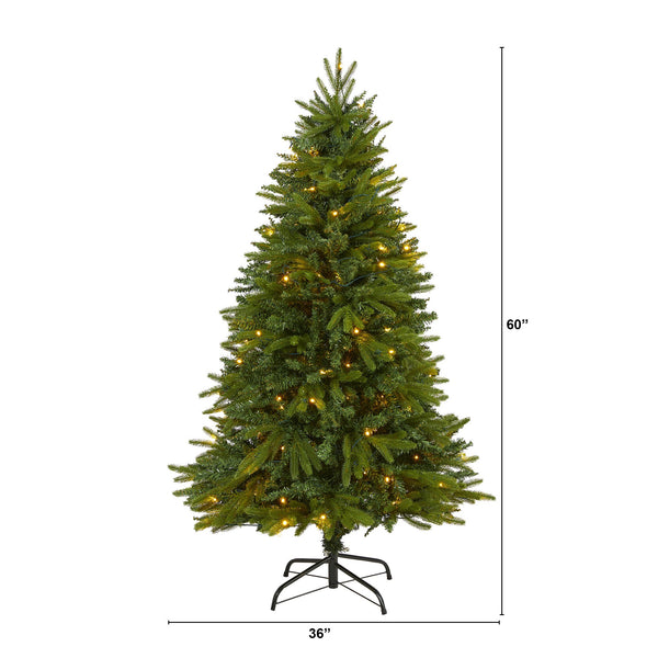 5' Sun Valley Fir Artificial Christmas Tree with 200 Clear LED Lights