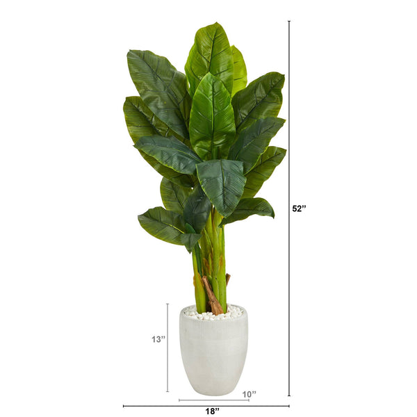 52” Triple Stalk Artificial Banana Tree in White Planter (Real Touch)