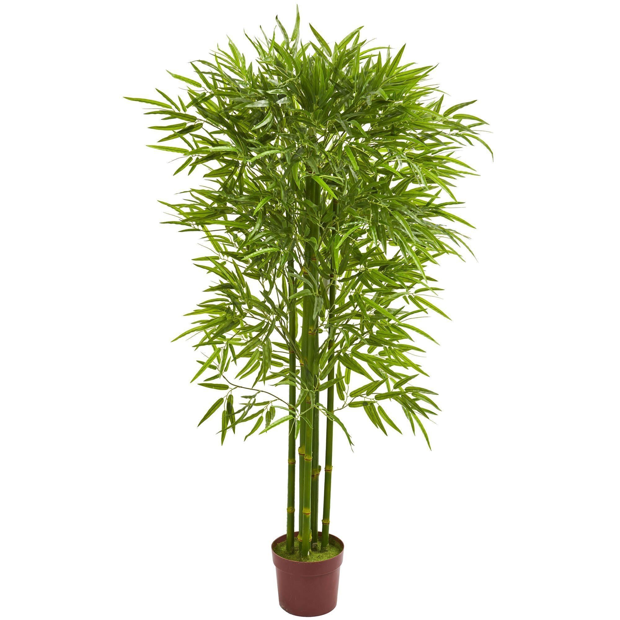 5.5' Bamboo Artificial Tree UV Resistant (Indoor/Outdoor) | Nearly Natural