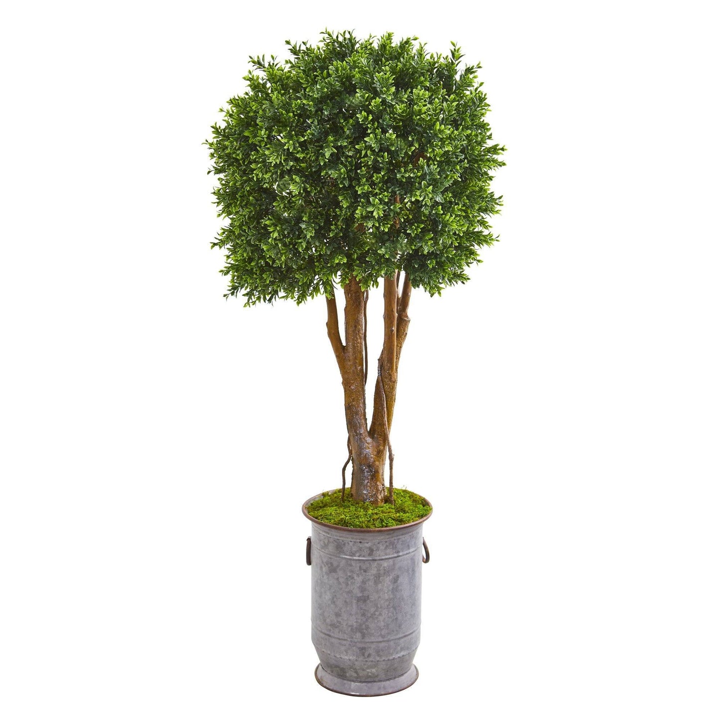 55” Boxwood Artificial Topiary Tree in Planter UV Resistant (Indoor ...