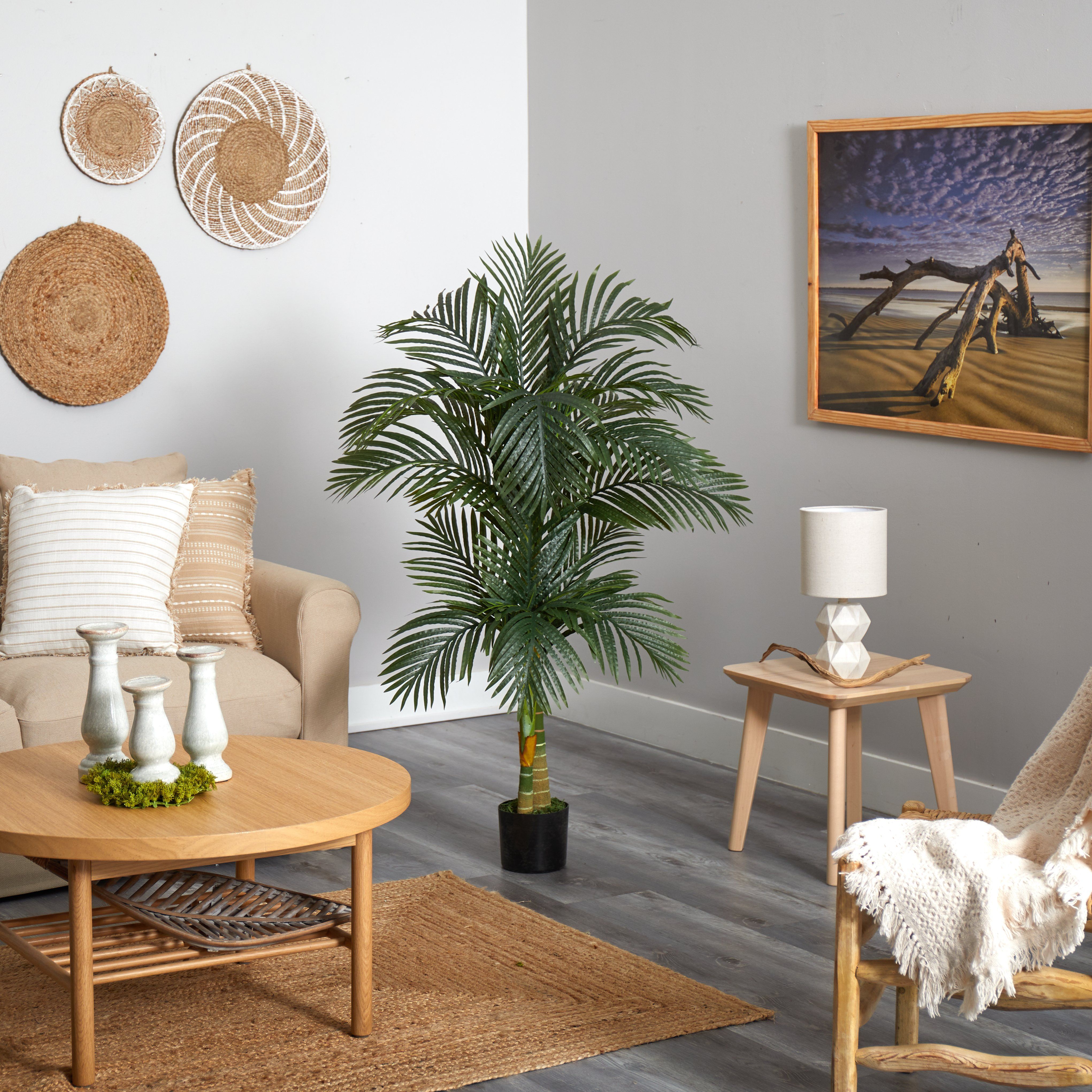 5.5' Double Robellini Palm Tree UV Resistant (Indoor/Outdoor