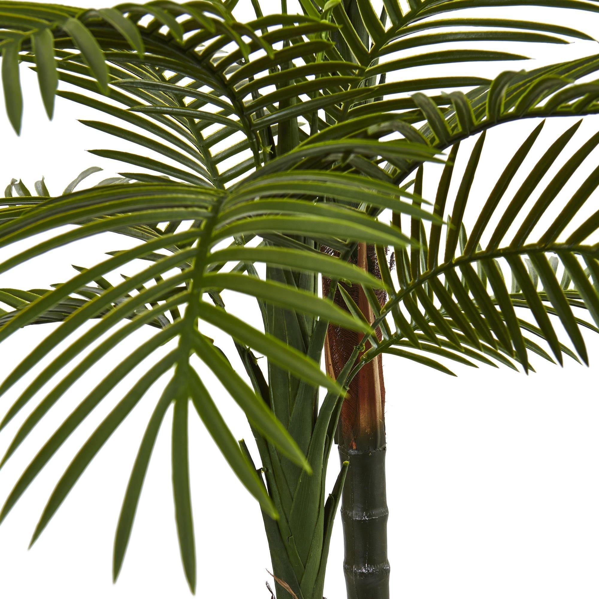 5.5' Double Robellini Palm Tree UV Resistant (Indoor/Outdoor