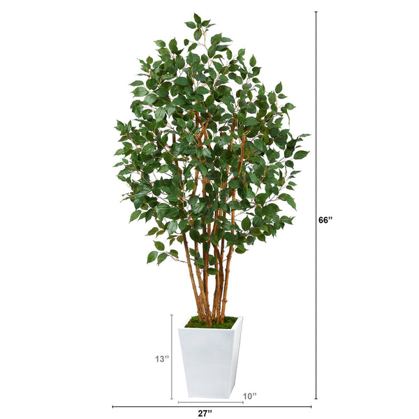 5.5' Ficus Bushy Artificial Tree in White Metal Planter