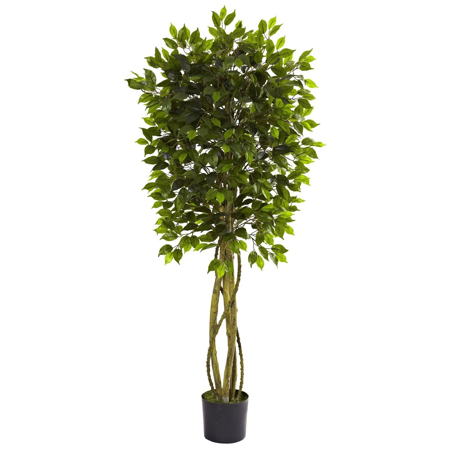 5.5' Ficus Tree UV Resistant (Indoor/Outdoor) | Nearly Natural