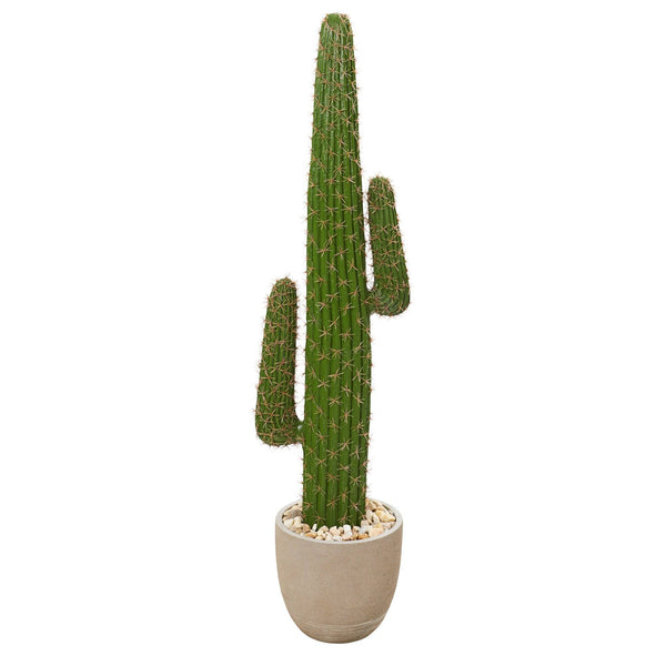 56” Cactus Artificial Plant in Sandstone Planter