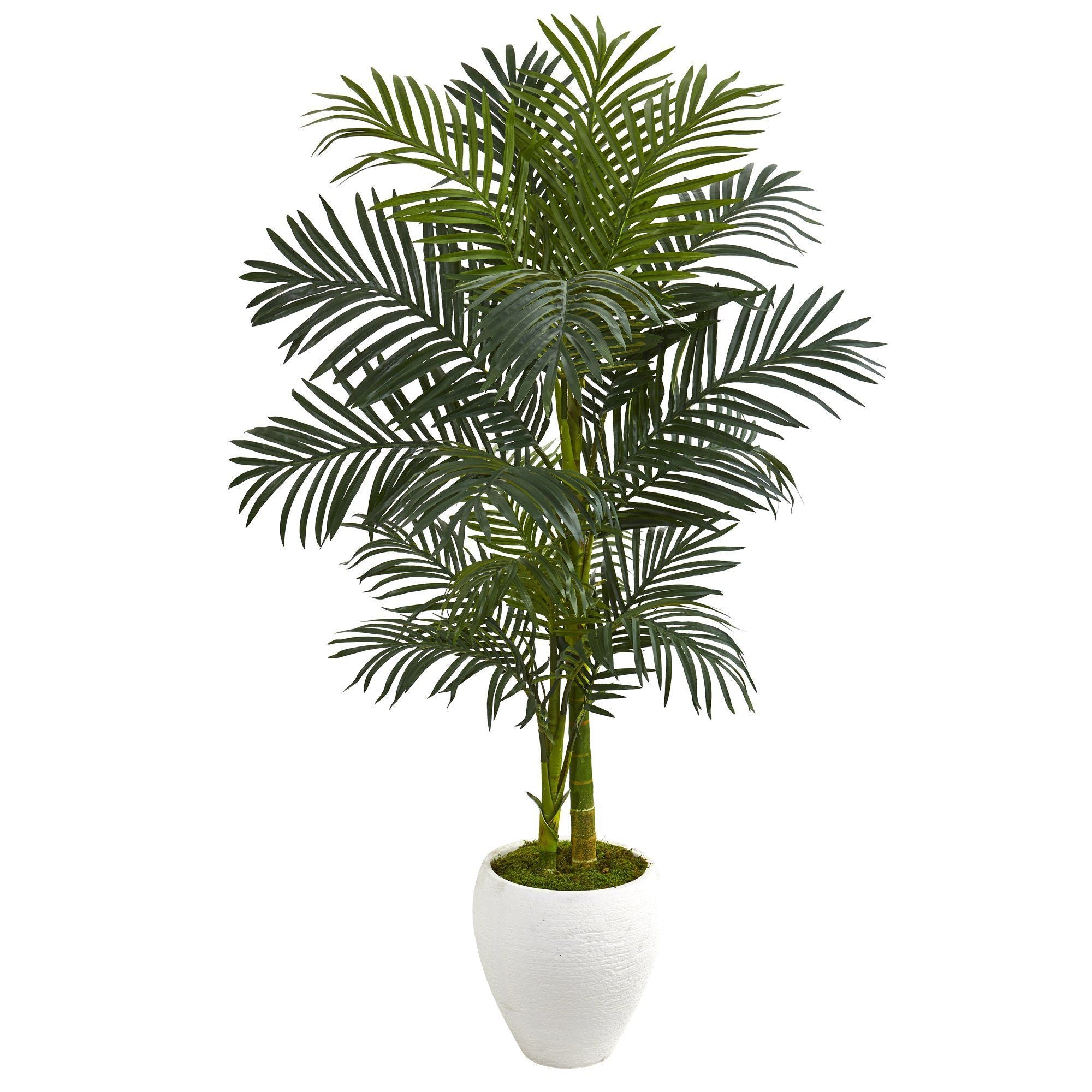 56” Golden Cane Artificial Palm Tree in White Planter | Nearly Natural