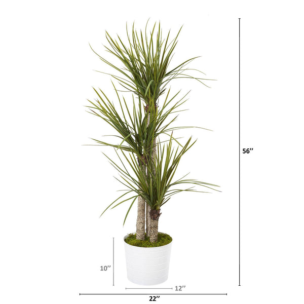 56” Yucca Artificial Tree in Tin White Planter