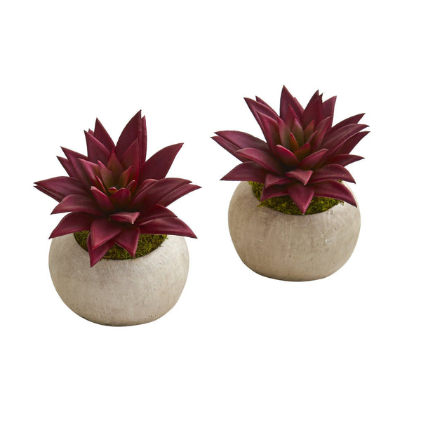 6” Agave Succulent Artificial Plant in Planter (Set of 2)