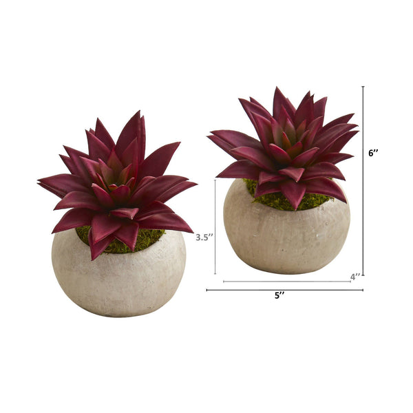 6” Agave Succulent Artificial Plant in Planter (Set of 2)