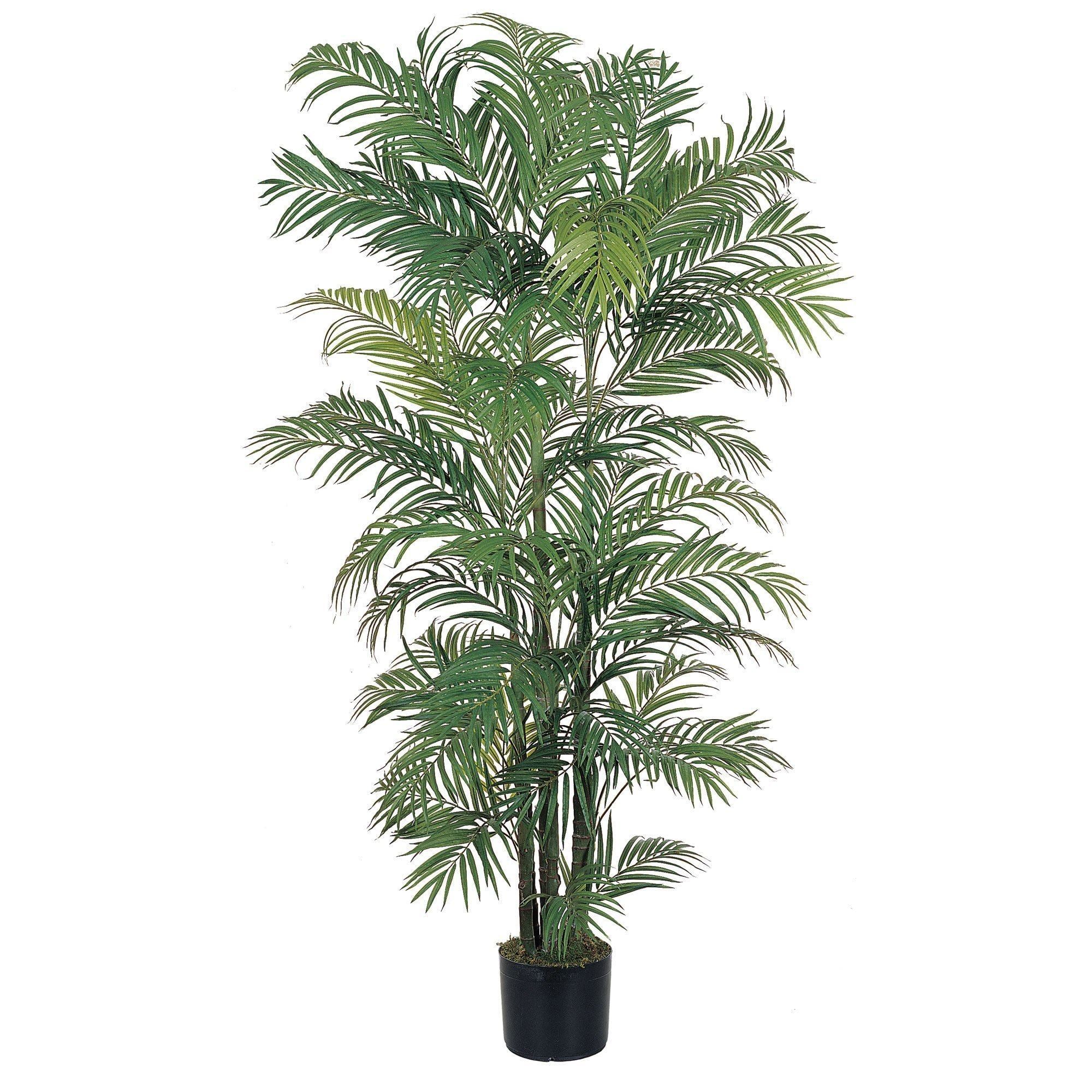 6' Areca Silk Palm Tree | Nearly Natural