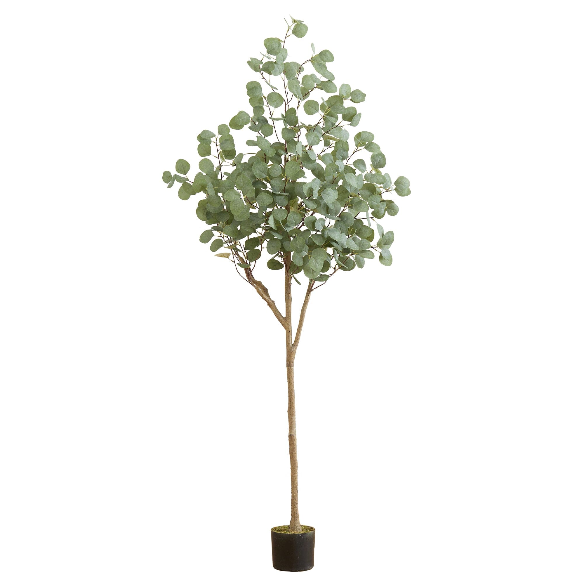 6’ Artificial Eucalyptus Tree | Nearly Natural