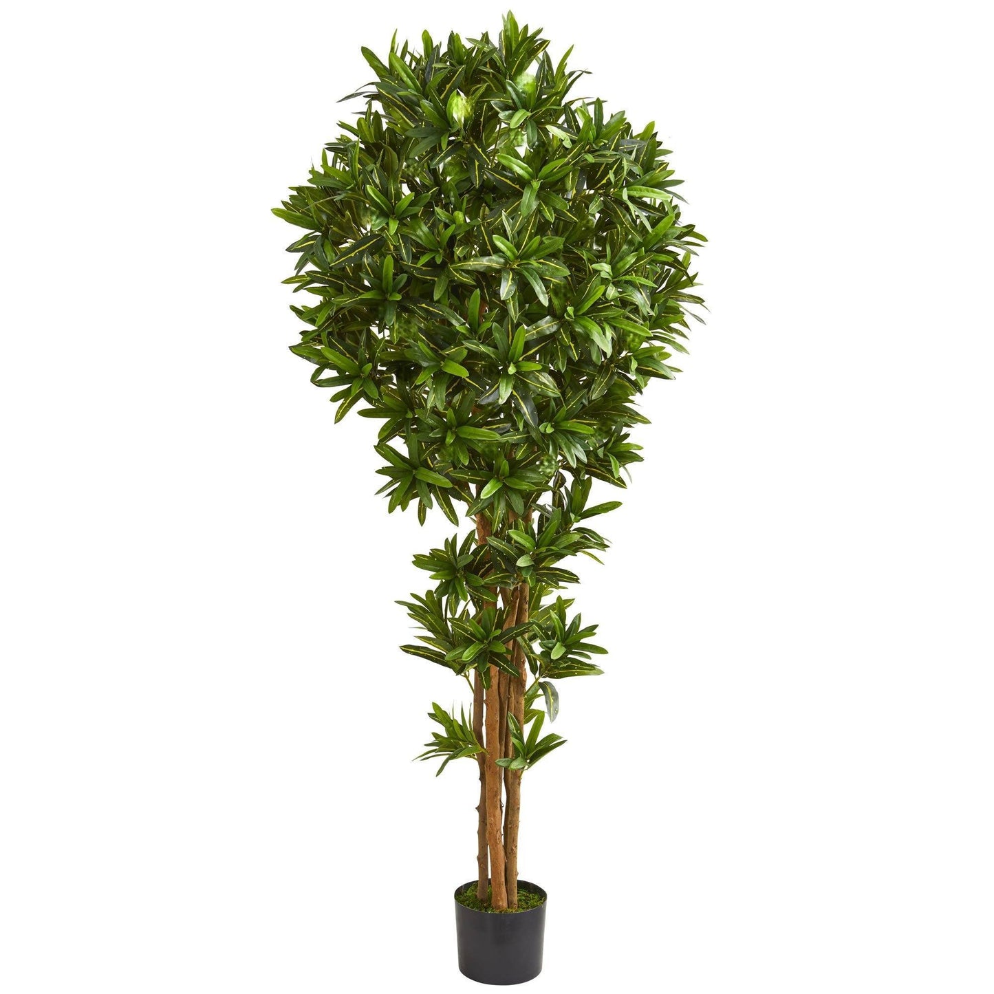 6’ Dracaena Artificial Tree | Nearly Natural