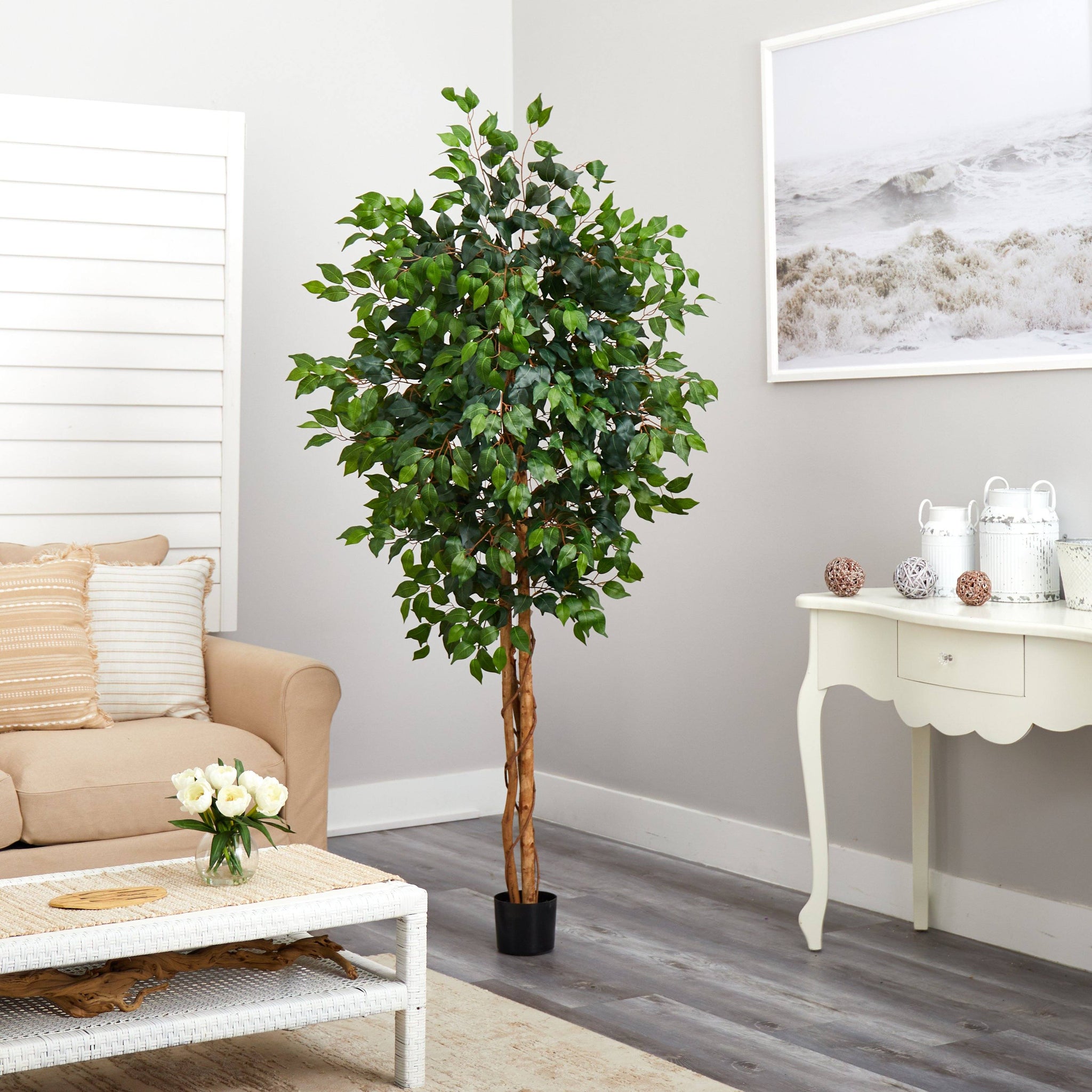 6' Ficus Silk Tree | Nearly Natural