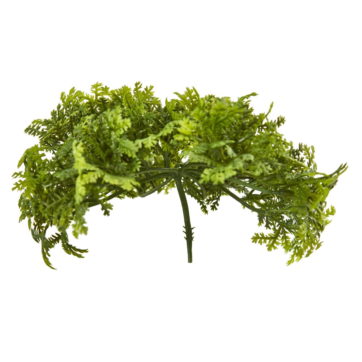 Allstate Floral Green Spanish Moss Hanging Bush, 36 in.
