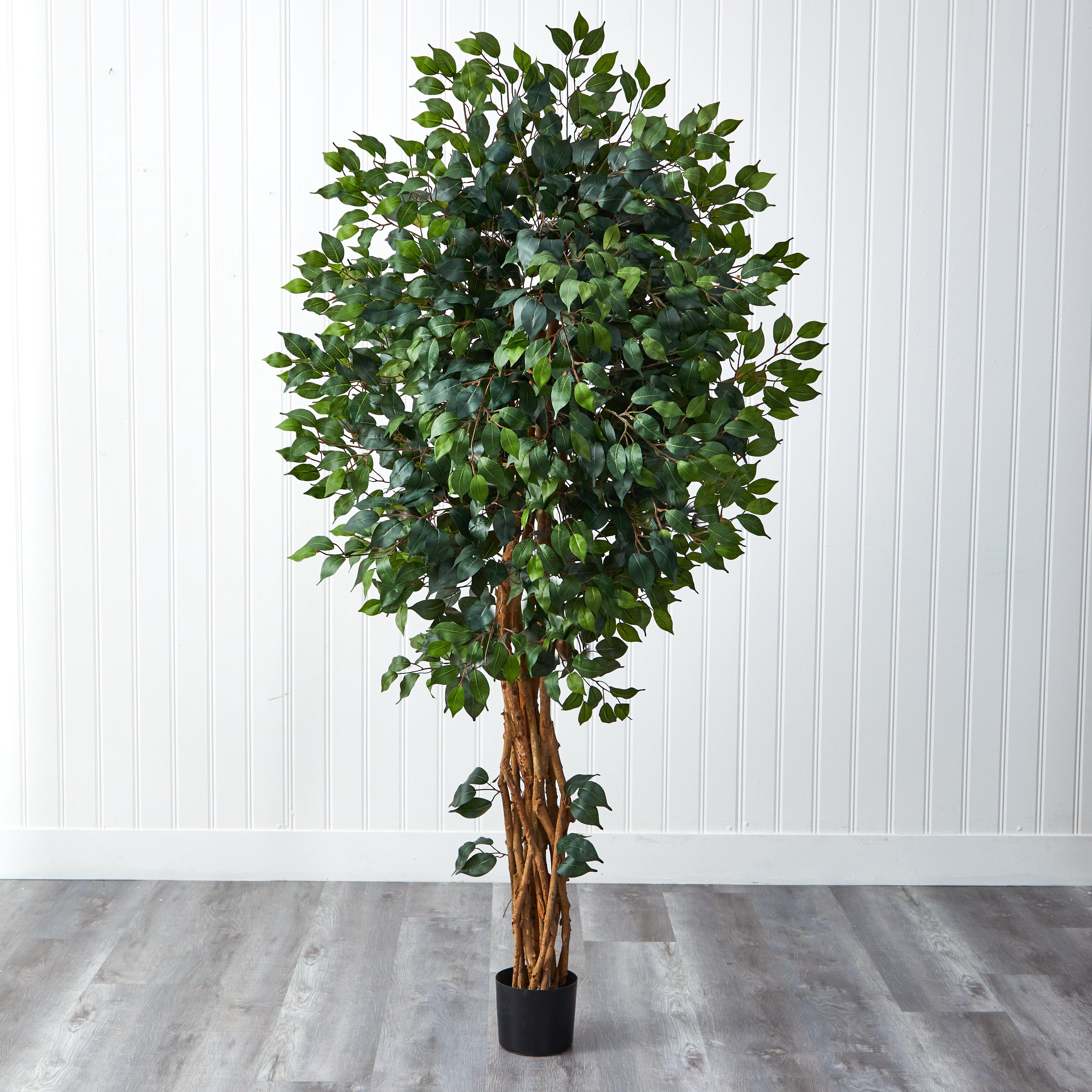 6ft artificial deals ficus tree