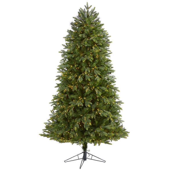 6.5' Oregon Fir Artificial Christmas Tree with 1350 Warm White