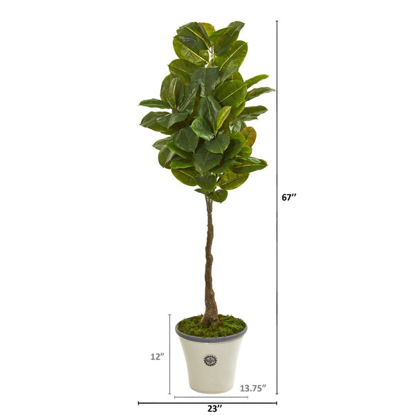 67” Rubber Leaf Artificial Tree in Planter (Real Touch)