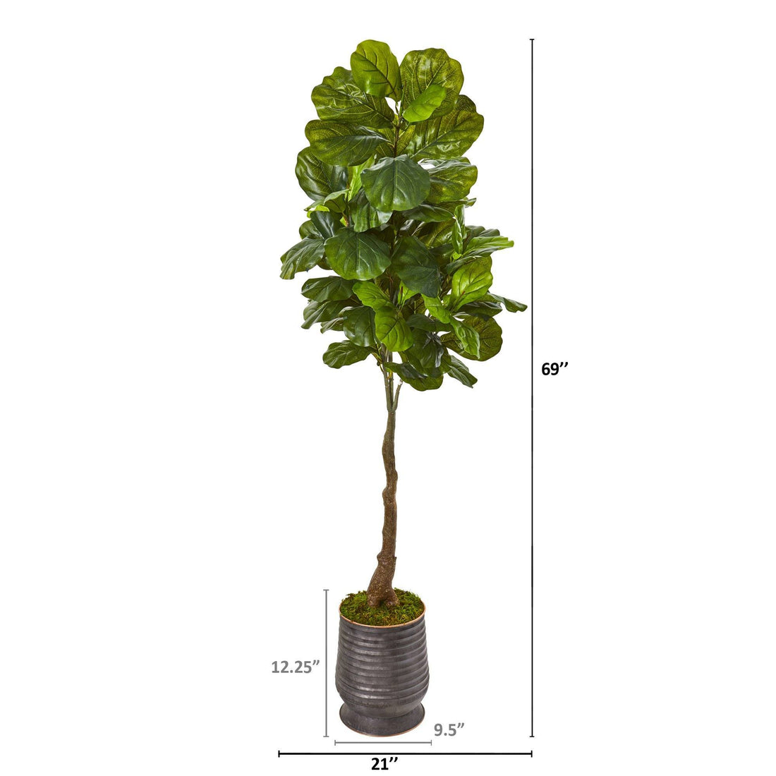 69” Fiddle Leaf Artificial Tree in Ribbed Metal Planter (Real Touch ...