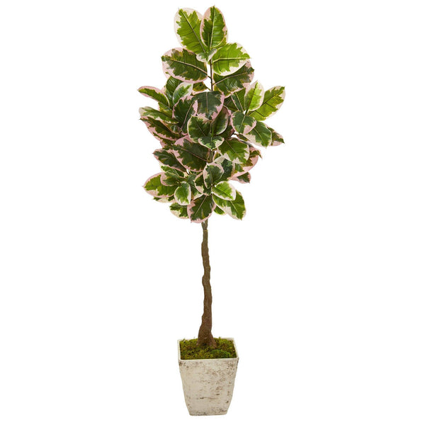 69” Variegated Rubber Leaf Artificial Tree in Country White Planter (Real Touch)