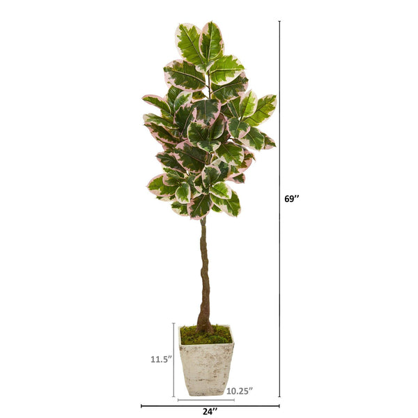 69” Variegated Rubber Leaf Artificial Tree in Country White Planter (Real Touch)