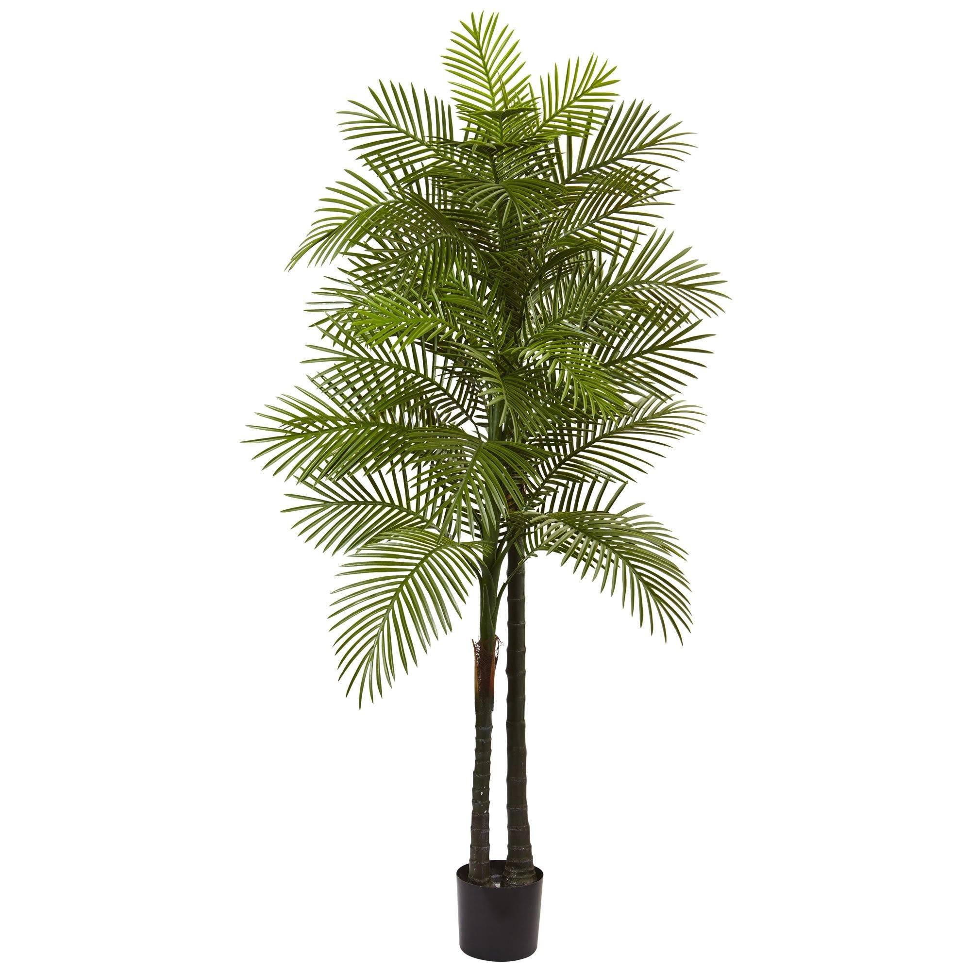7' Double Robellini Palm Tree UV Resistant (Indoor/Outdoor
