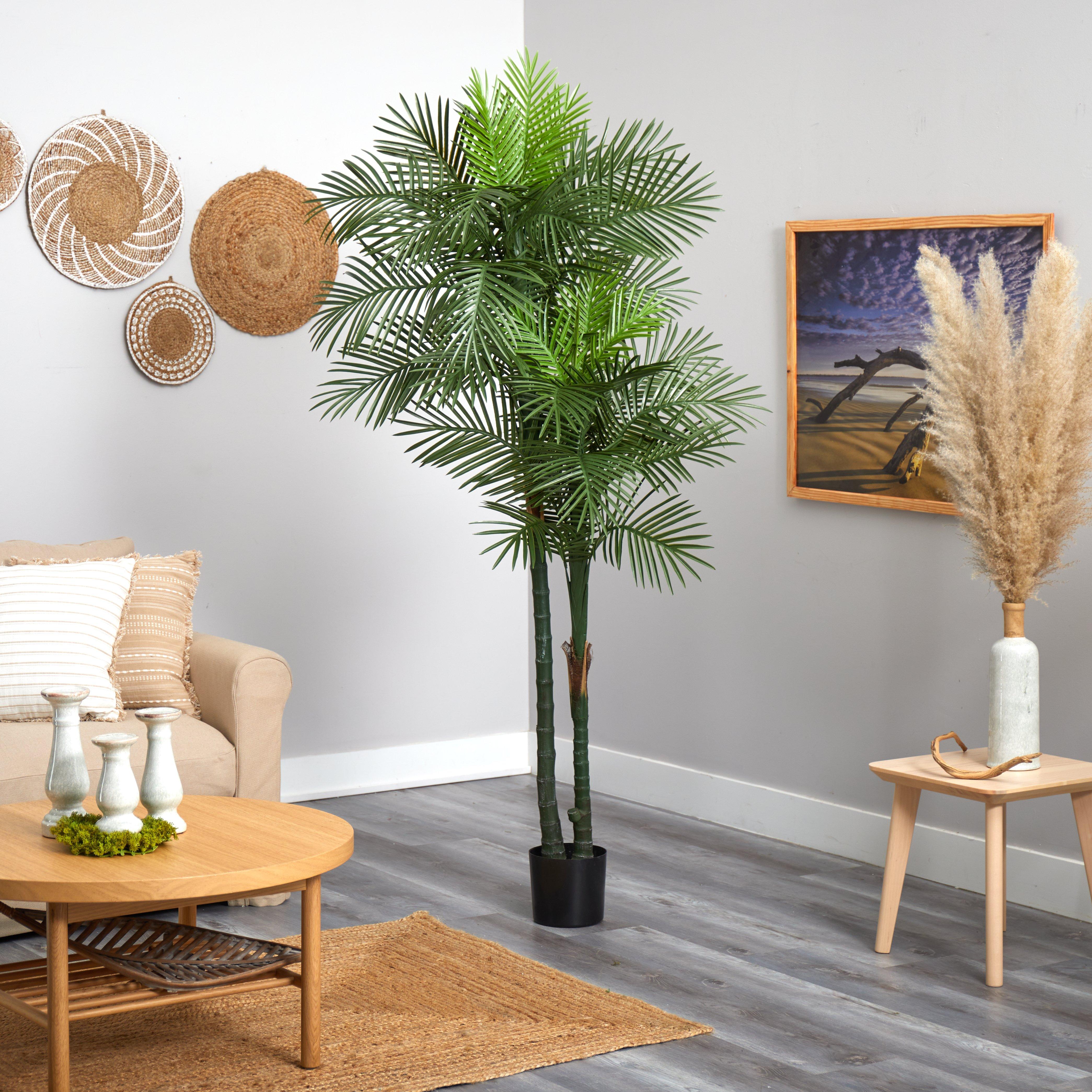 7' Double Robellini Palm Tree UV Resistant (Indoor/Outdoor
