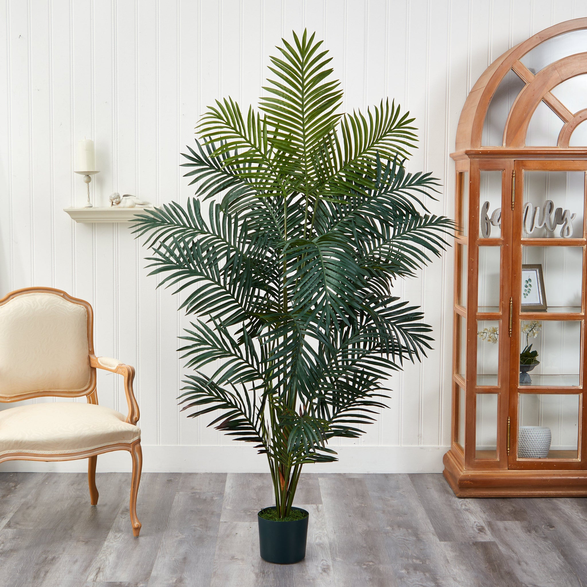 7' Paradise Palm | Nearly Natural