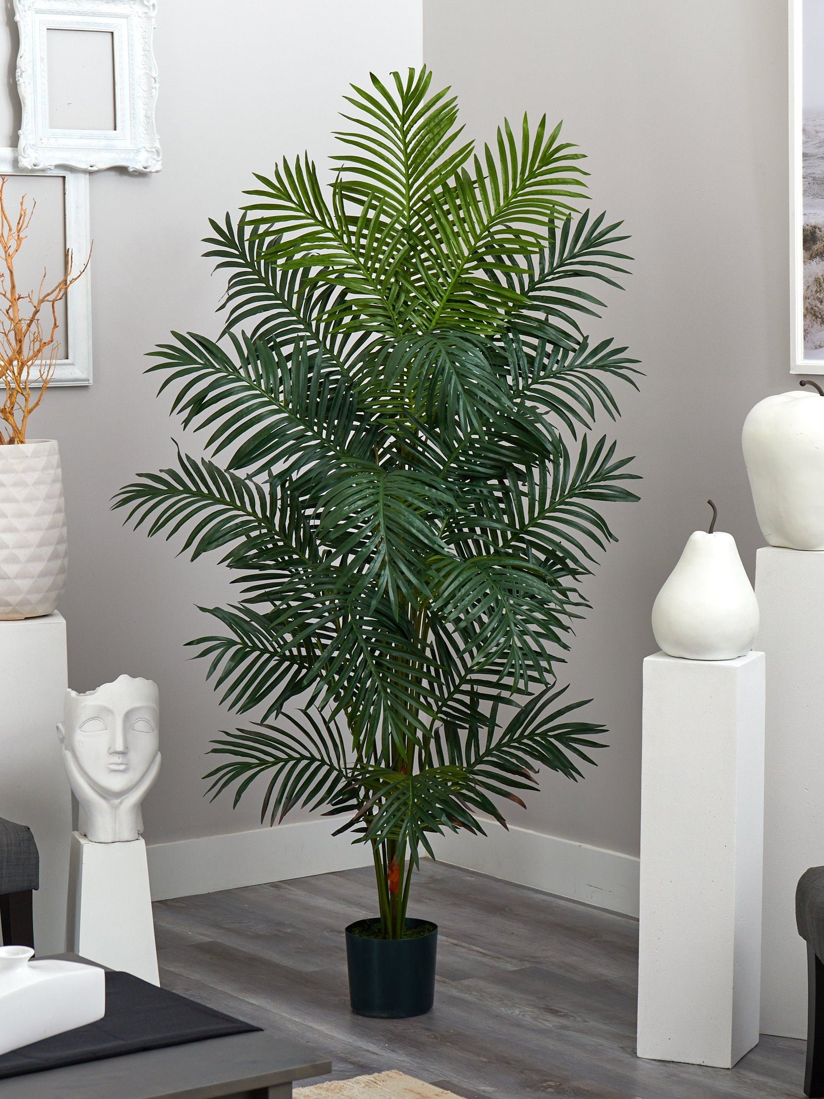 7' Paradise Palm | Nearly Natural