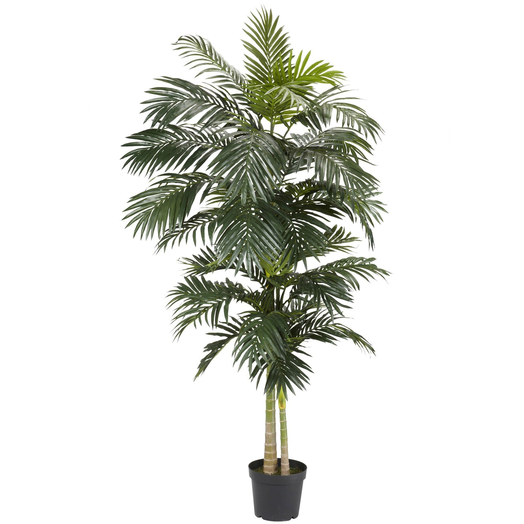 8' Golden Cane Palm Silk Tree | Nearly Natural