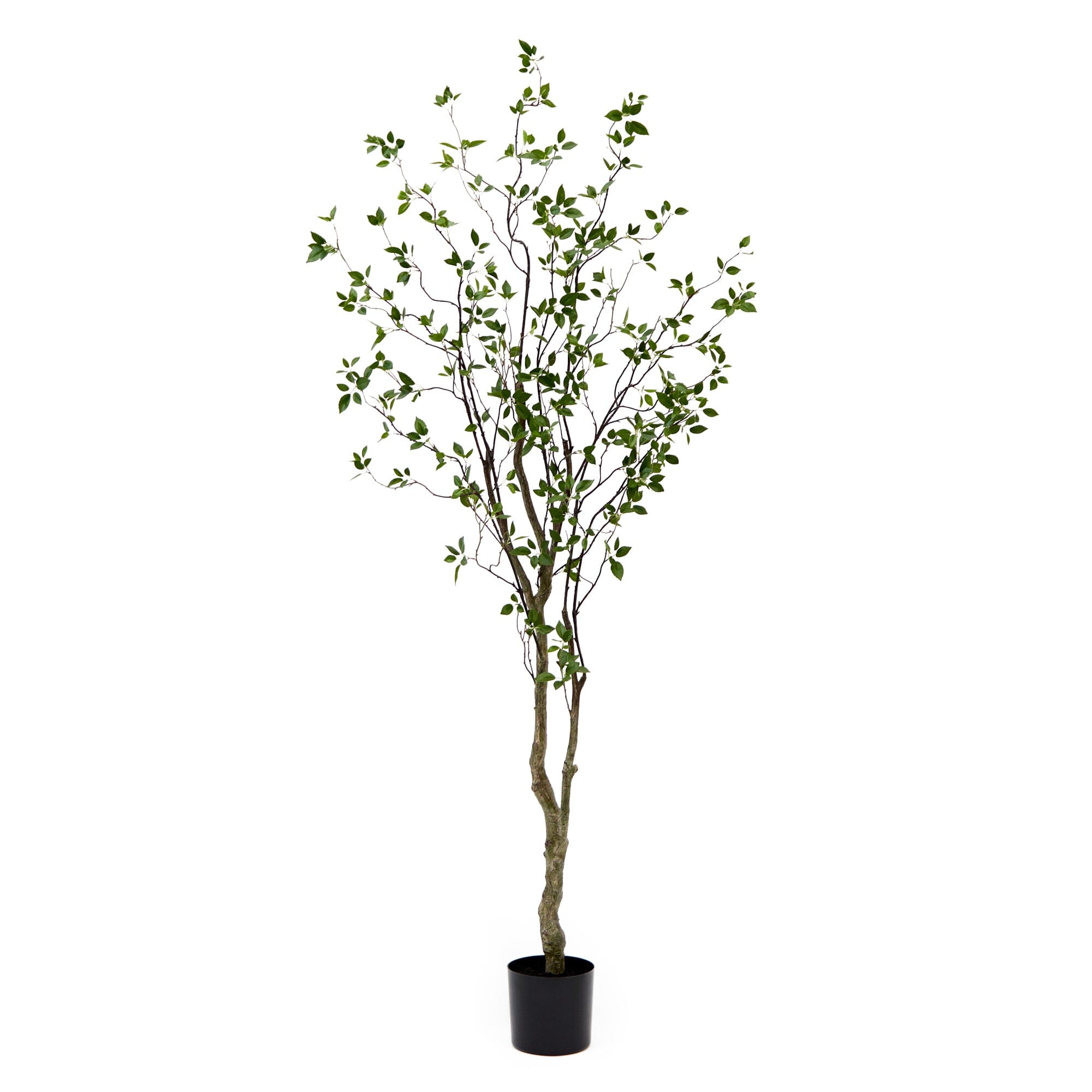 8' Minimalist Citrus Artificial Tree | Nearly Natural