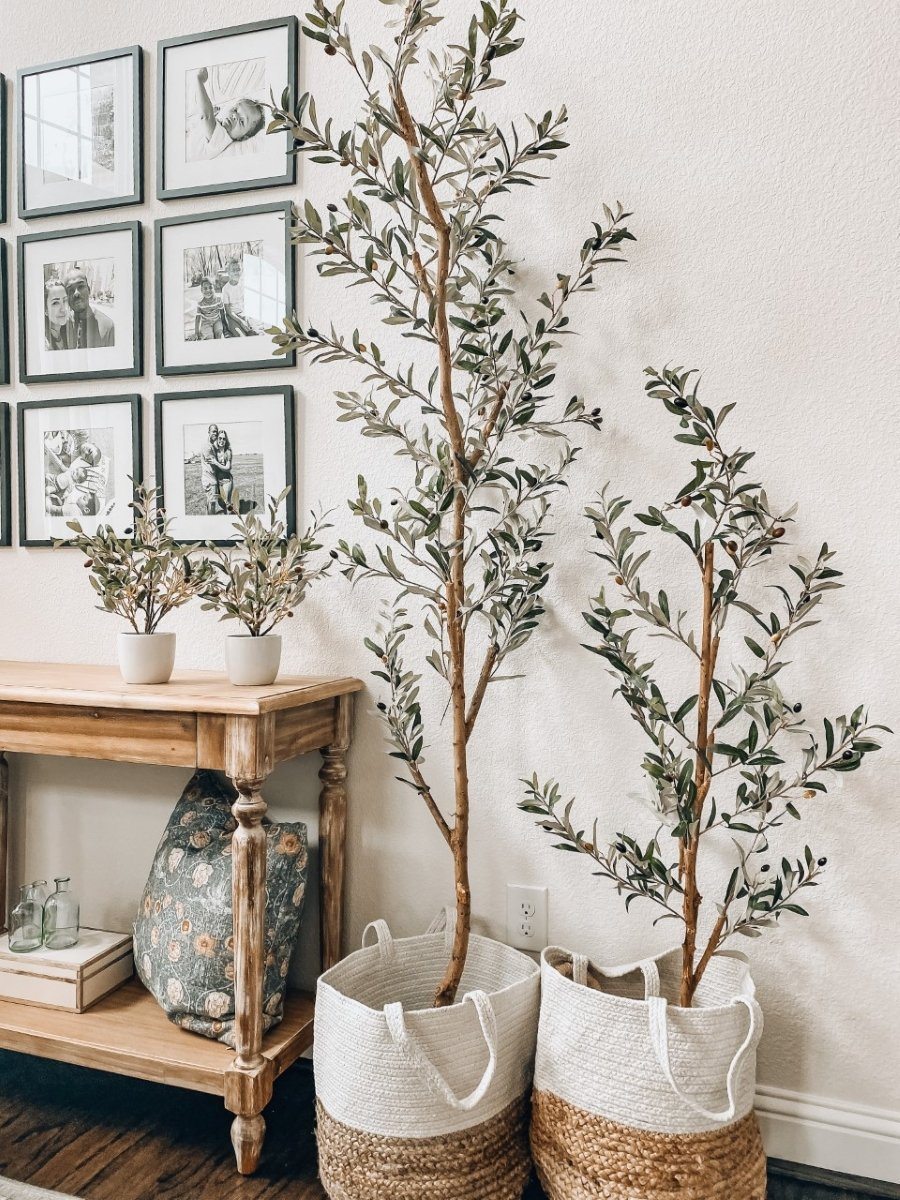 Transform Your Space with Olive Tree Decor: A Complete Guide