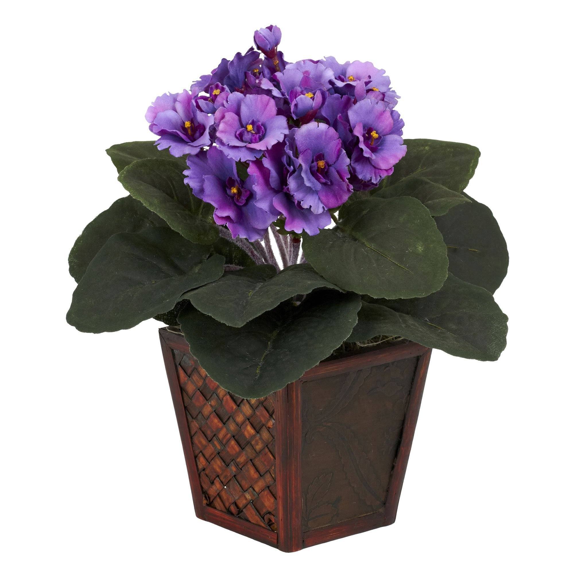 Purple Faux African buy Violet